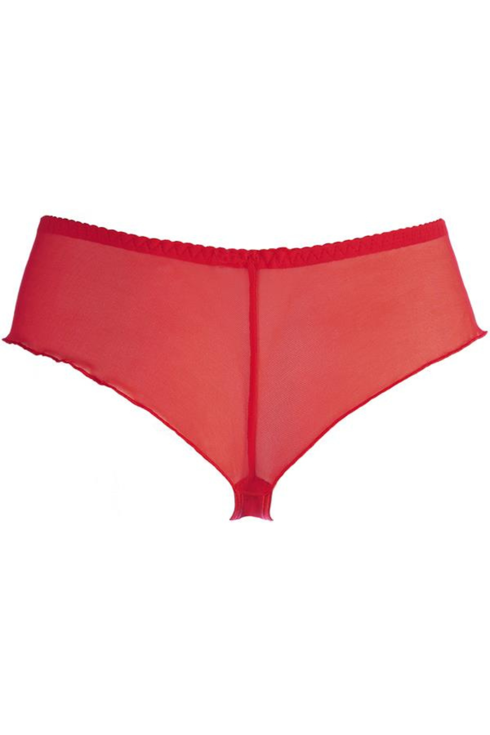 Ayana Floral Embroidered Brazilian Thong - Red