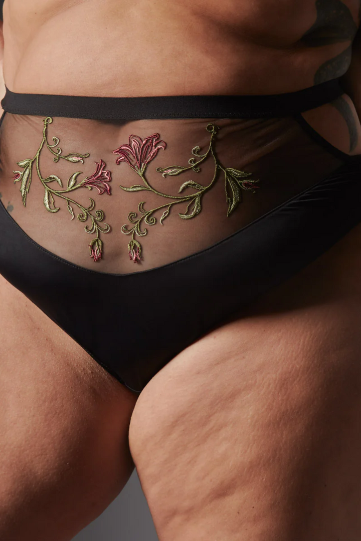 Livia Sheer Embroidered Brief