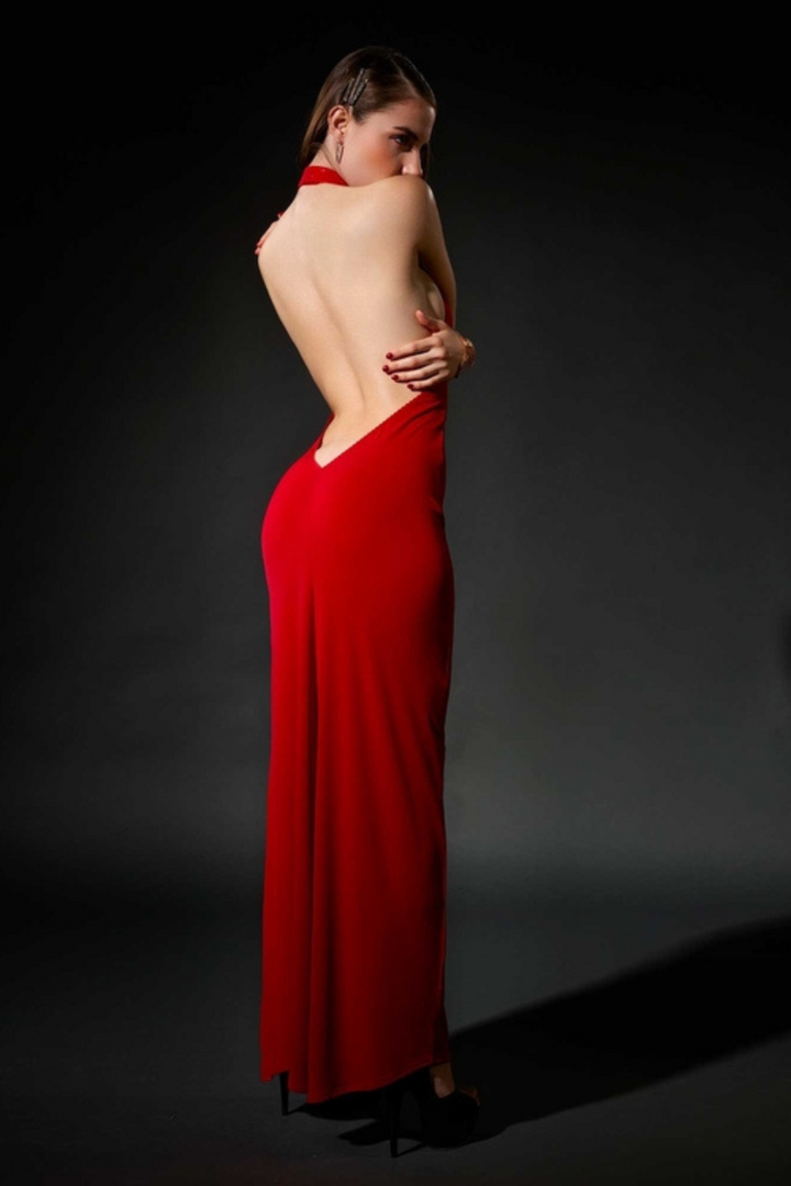 Mina Lycra Dress - Red